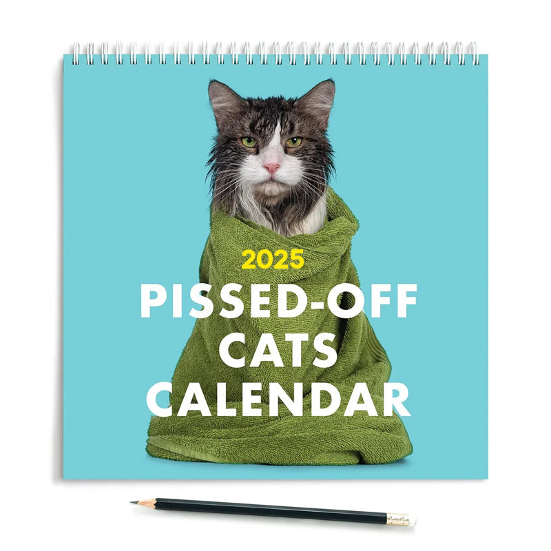 2025 PissedOff Cats Calendar welkinbirduk Cute Cat Calendar 2025