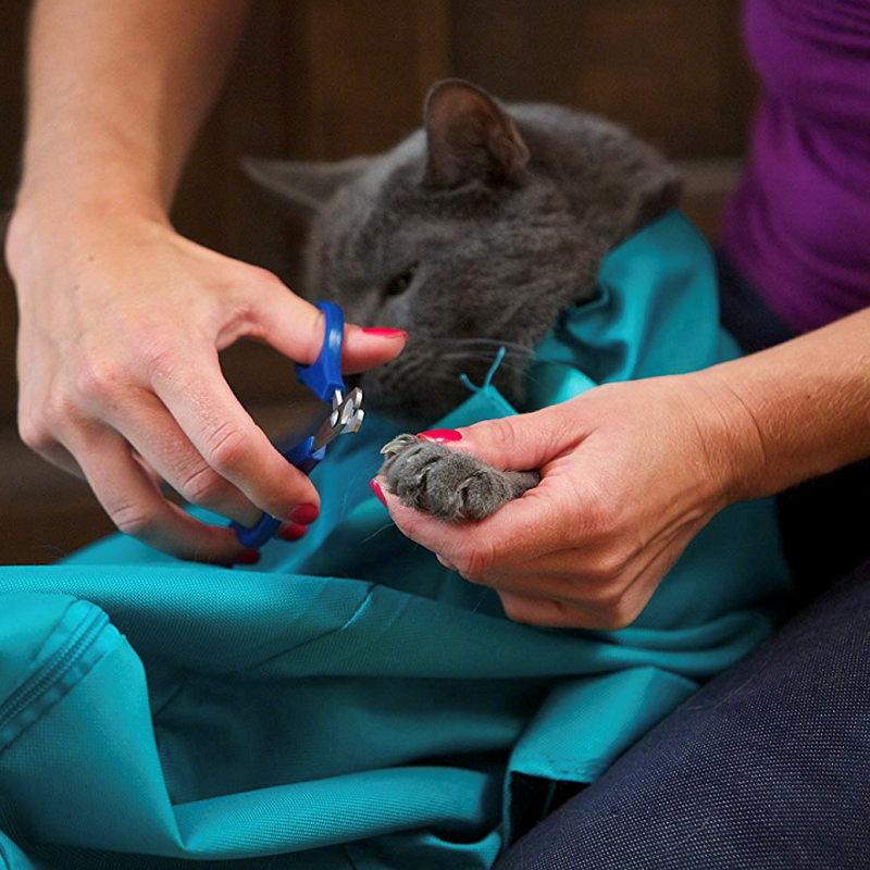 Cat carrier pouch 2025